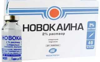 Эффективные уколы от геморроидальной болезни