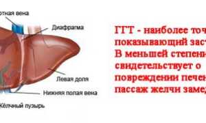 Что такое ГГТ, ГГТП в анализе крови, какова норма и их значение