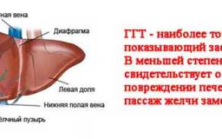 Что такое ГГТ, ГГТП в анализе крови, какова норма и их значение