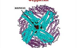 Что означает повышенный ферритин крови и его последствия