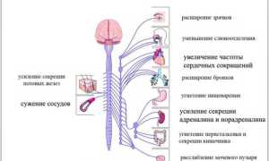 Симпато адреналовый криз и его симптомы: причины и лечение