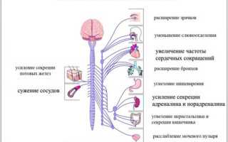 Симпато адреналовый криз и его симптомы: причины и лечение
