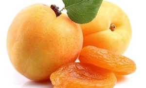 Можно ли кушать курагу при запоре?