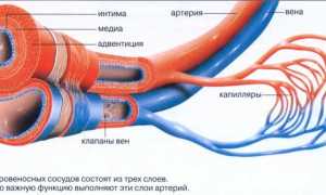 Сосудистые воспаления: диагностика и лечение для здоровья