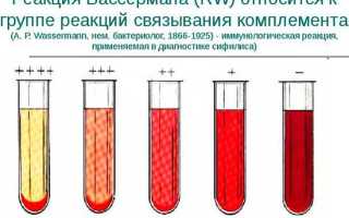 Что показывает анализ крови на RW и его значение