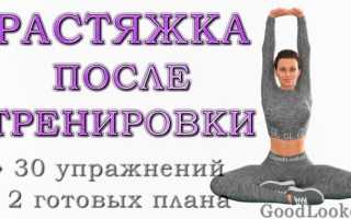 Растяжка после тренировки: 30 упражнений + 2 готовых плана на 5-10 минут