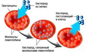 Что такое цветной показатель крови и его значение