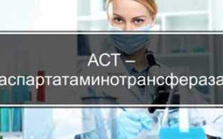 Повышенный уровень АСТ в крови: причины и последствия