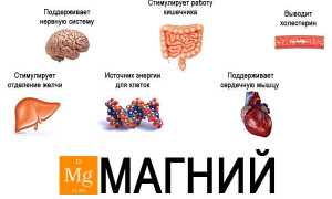 Нормы магния в крови и последствия отклонений для здоровья