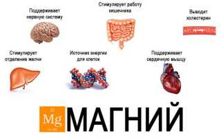 Нормы магния в крови и последствия отклонений для здоровья