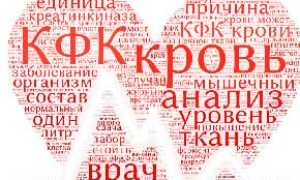 Что такое КФК в крови, какова норма и её значение
