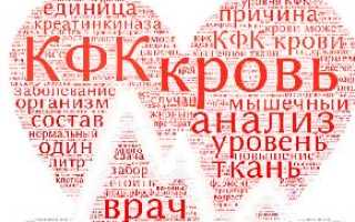 Что такое КФК в крови, какова норма и её значение
