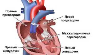 Пониженная и повышенная фракция выброса сердца: причины и последствия