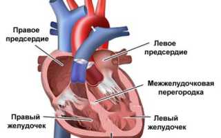 Пониженная и повышенная фракция выброса сердца: причины и последствия