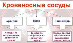 Признаки капилляротоксикоза и его лечение: важные аспекты и рекомендации