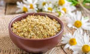 Какими травами лечить геморрой?