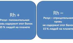 Универсальная группа крови, подходящая всем, для здоровья