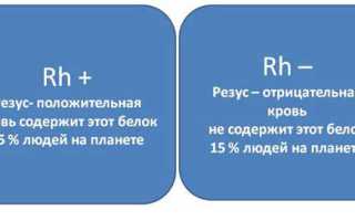 Универсальная группа крови, подходящая всем, для здоровья