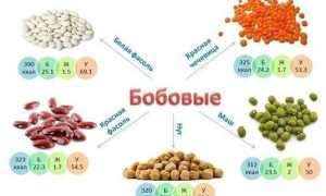 Какое влияние оказывают на ЖКТ бобовые при запоре?