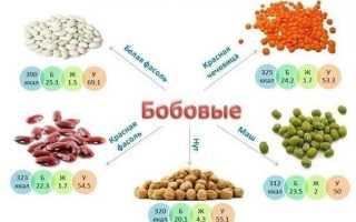 Какое влияние оказывают на ЖКТ бобовые при запоре?