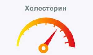 Средства для снижения холестерина в крови: здоровье и благополучие