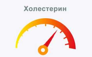 Средства для снижения холестерина в крови: здоровье и благополучие