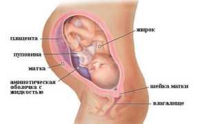 Причины и симптомы геморроя, возникшего при беременности
