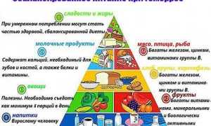 Питание при обострении геморроя: разрешенные и запрещенные продукты, примерное меню на день