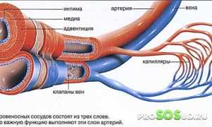 Лечение и причины венозной дисгемии: важные аспекты здоровья
