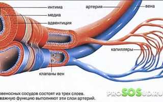 Лечение и причины венозной дисгемии: важные аспекты здоровья