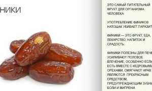 Можно ли есть финики при запоре?