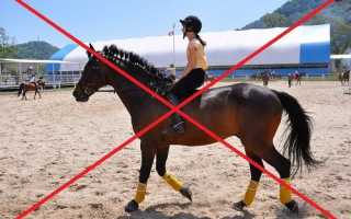 Образ жизни при геморрое: что можно делать, что нельзя?