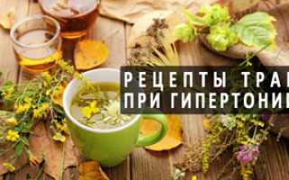 Лучшие травы для снижения давления и улучшения здоровья