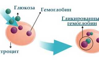 Что такое гликированный гемоглобин и его значение