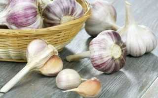 Можно ли вылечить геморрой чесноком в домашних условиях?