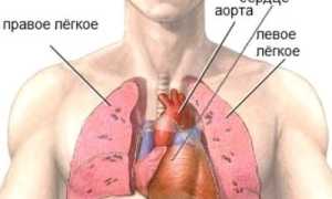 Отчего колет в области сердца: причины и советы