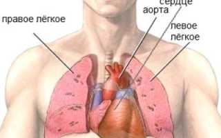 Отчего колет в области сердца: причины и советы