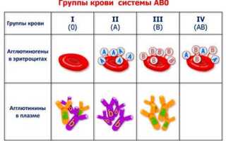 Как узнать группу крови ребенка по родительской информации и методам