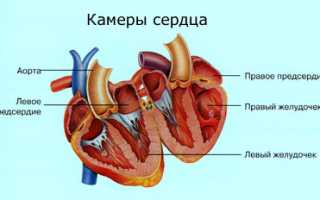 Основные причины атриовентрикулярной блокады сердца, диагностика и лечение заболеваний
