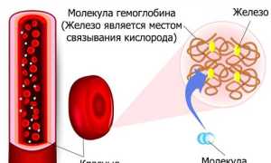 Препараты для поднятия уровня гемоглобина в крови: полезные советы и рекомендации