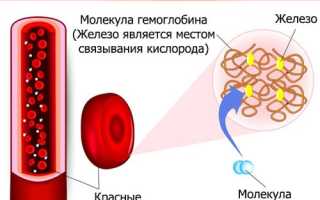 Препараты для поднятия уровня гемоглобина в крови: полезные советы и рекомендации