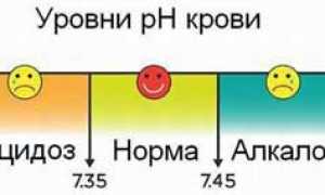 Кислотность крови человека (pH) и её влияние на здоровье