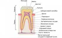 Болит зуб не могу понять какой