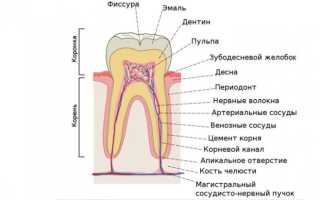 Болит зуб не могу понять какой