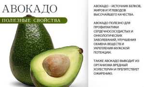 Можно ли кушать авокадо при запорах?