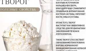Можно ли есть творог при расстройстве стула: запоре или диарее?