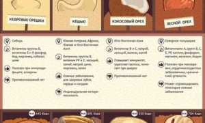 Можно ли кушать орехи и семечки при запоре?