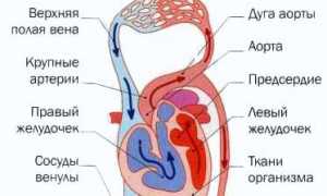 Геморрагический шок: интенсивность, признаки и лечение у пациентов