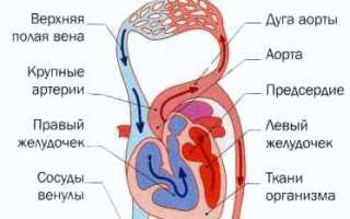 Геморрагический шок: интенсивность, признаки и лечение у пациентов