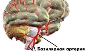 Что такое вертебро-базилярная недостаточность и её последствия